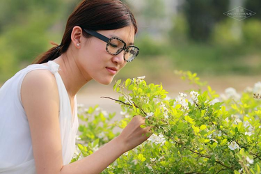 糖心vlog柚子猫创作界面展示